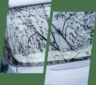 Patriot Auto Glass