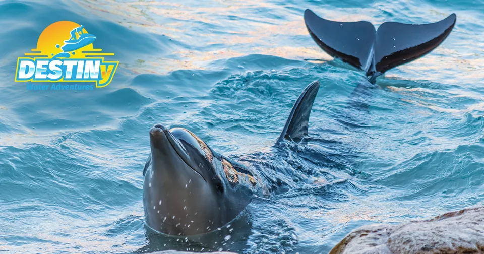 Destiny Water Adventures