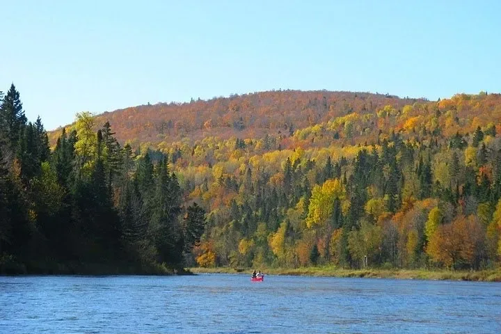 Perception Of Aroostook