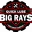 Big Ray's Quick Lube