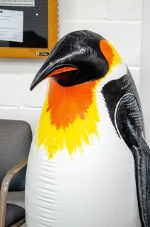 Penguin Auto Rentals