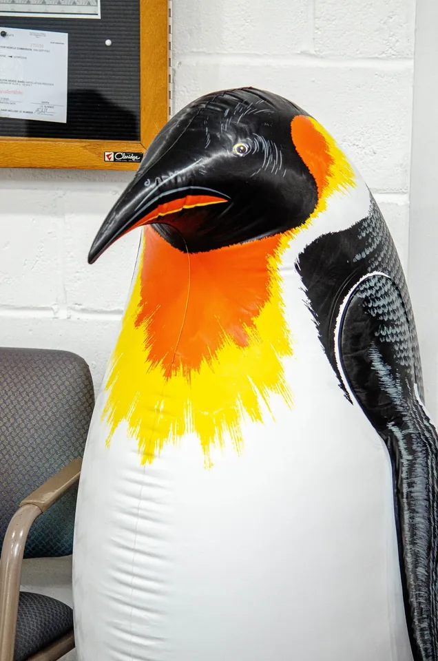 Penguin Auto Rentals