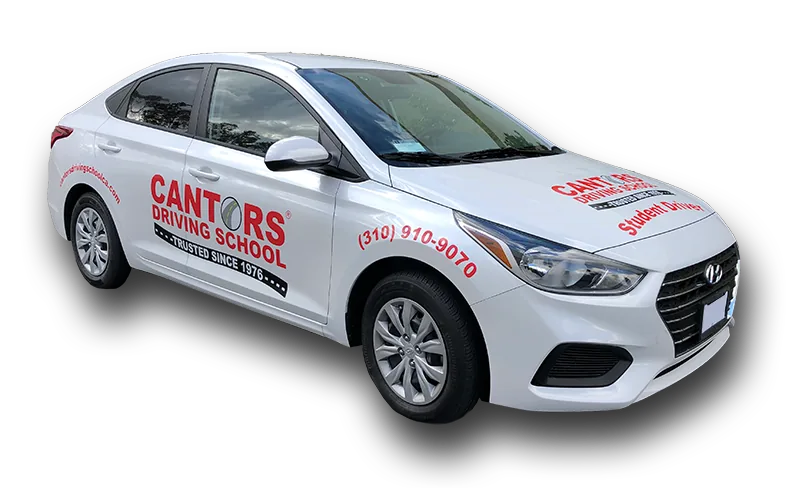 Cantor's Driving School
