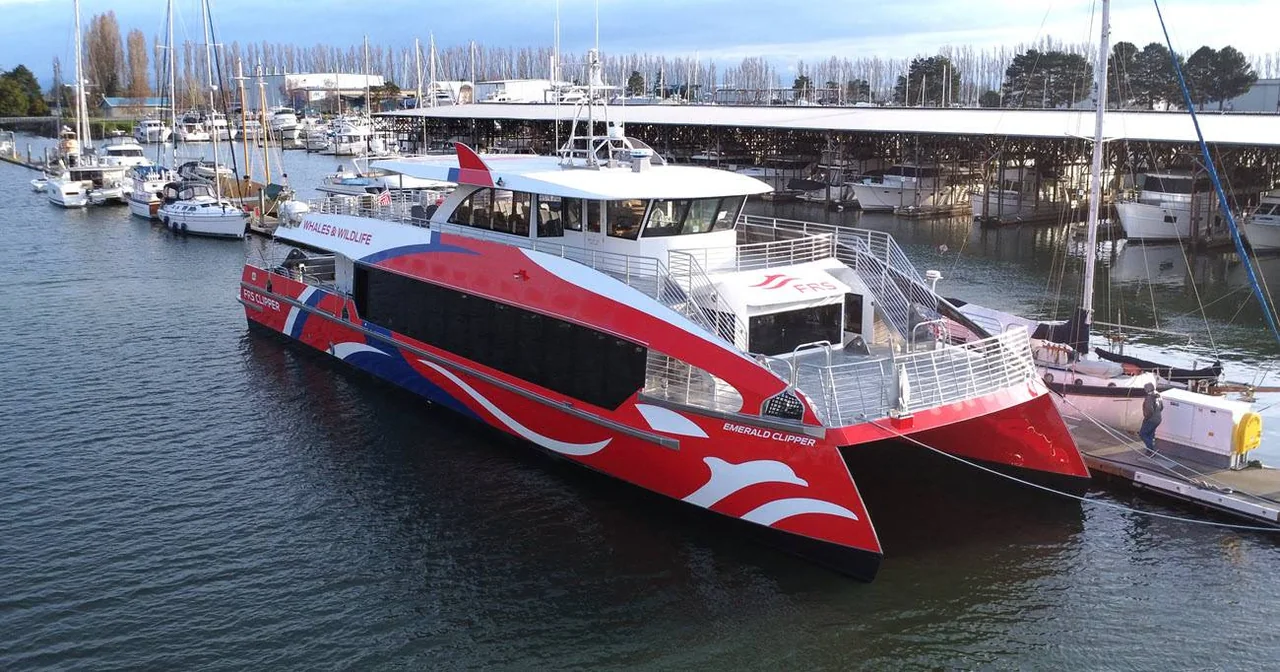 New Catamaran Set to Revolutionize Seattle's Whale Watching Scene