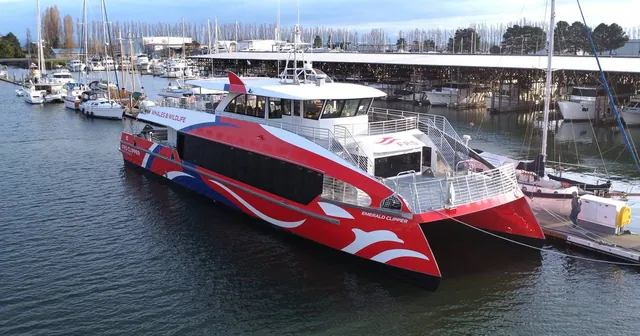 New Catamaran Set to Revolutionize Seattle's Whale Watching Scene