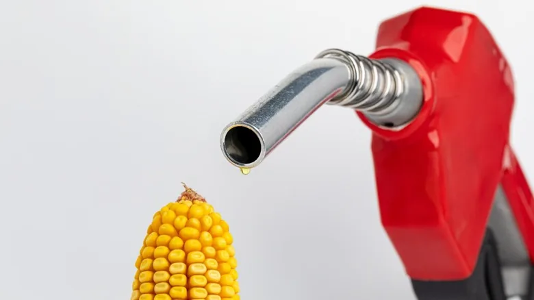 Alaska Gasoline Conundrum - image 3