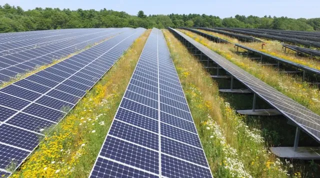 Solar Power Gains Unlikely Allies