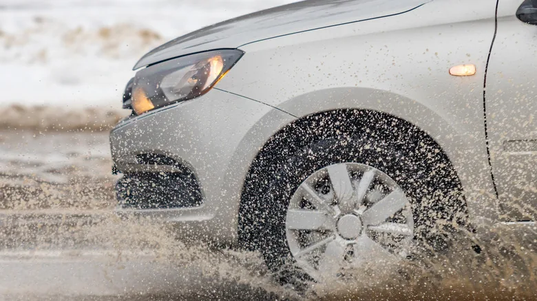 Dirt Road Speed Limits: A Necessity for Safety - image 4