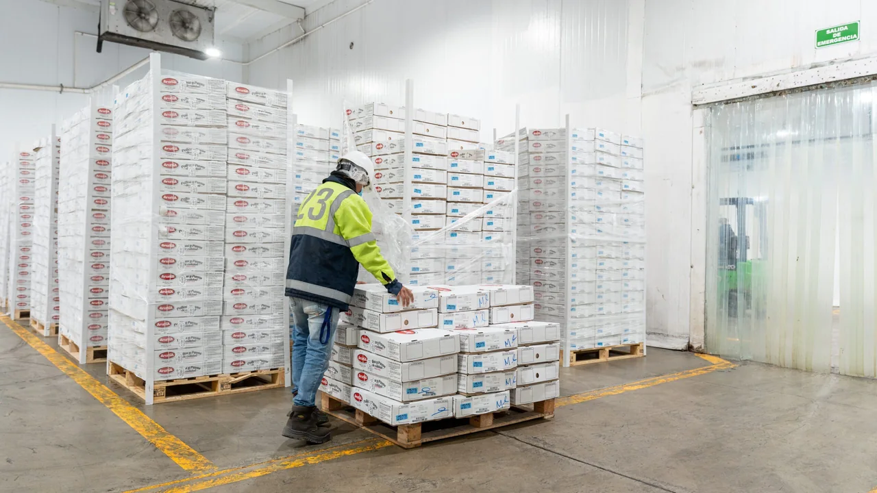 Cold Storage Market Sees End of Downturn as Vacancy Rates Hit 20-Year High