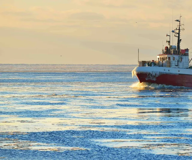 Dutch Fishing Fleet Grounds Amid Rising Diesel Costs