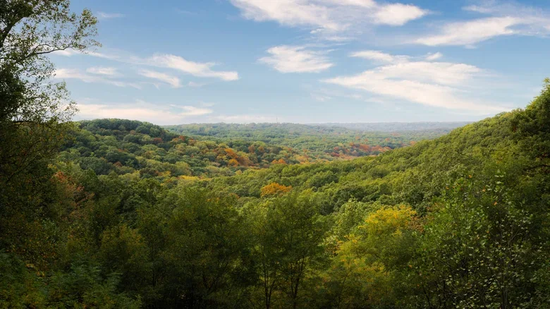 Top 5 Indiana State Parks for RVing
