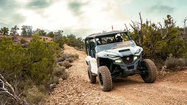 Desert Adventure Unleashed