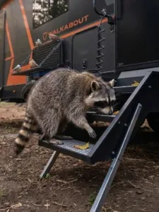 April Fools' Day Pranks in the RV Industry