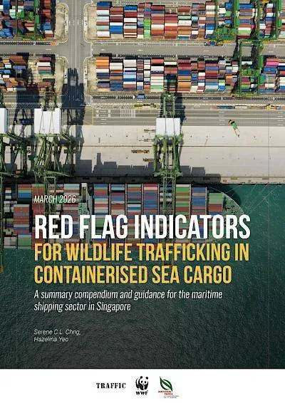 Singapore Takes Lead in Combating Wildlife Trafficking at Sea