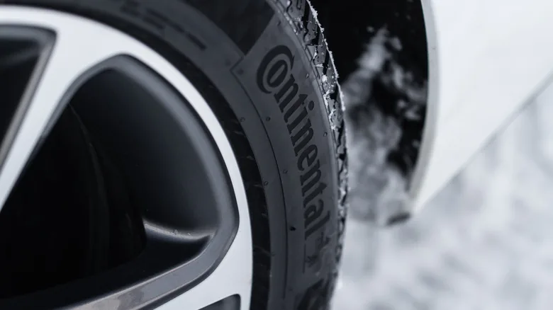 Tire Empire: Continental's Diverse Portfolio - image 3