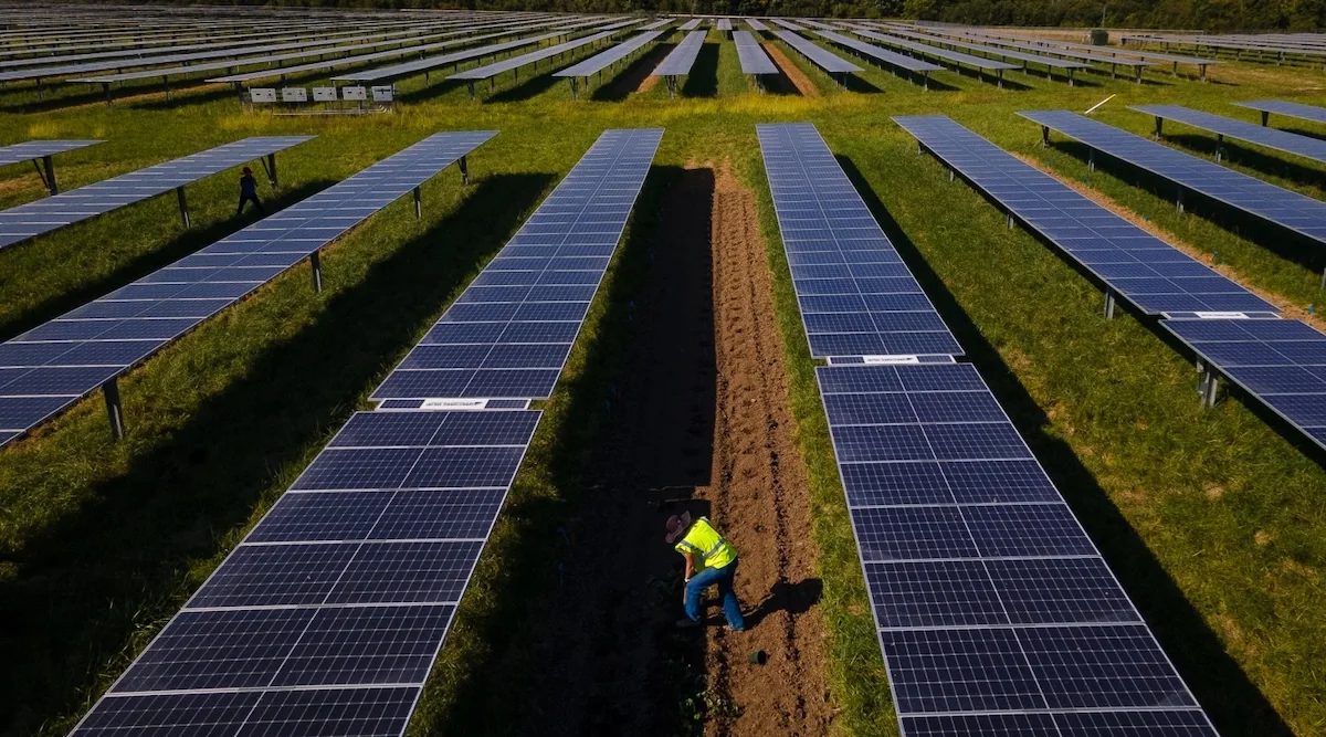 Solar Panels Can Shield Farms from Wind Damage
