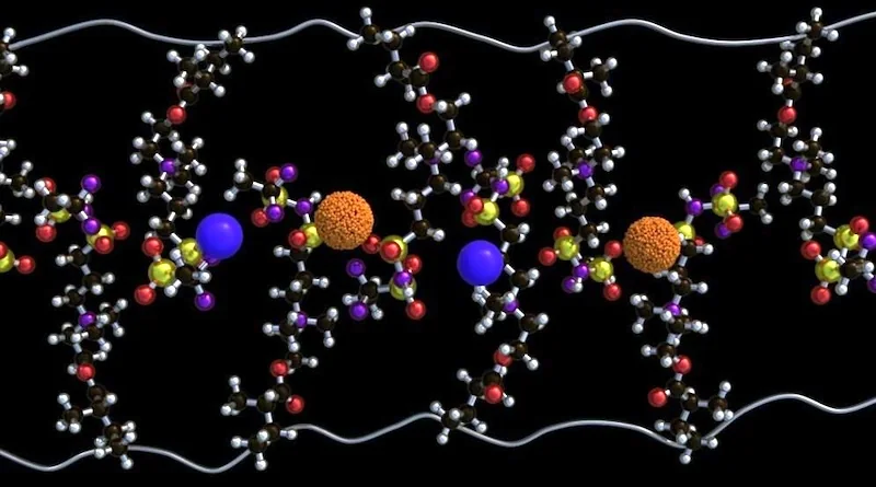 Breaking Down Zwitterions: A Key to New Solid-State Batteries