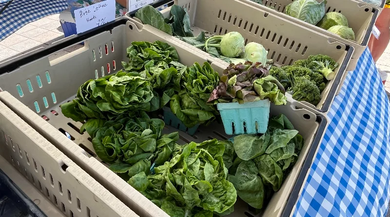 Food Systems Revolution