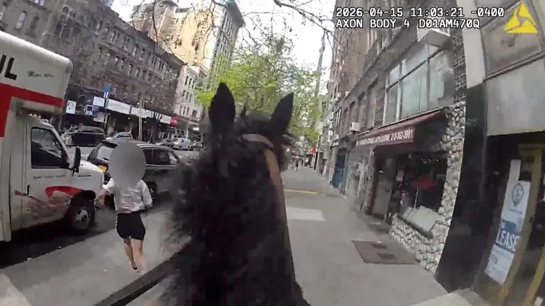 Horseback Cop Chases Down Suspect in Manhattan - image 2