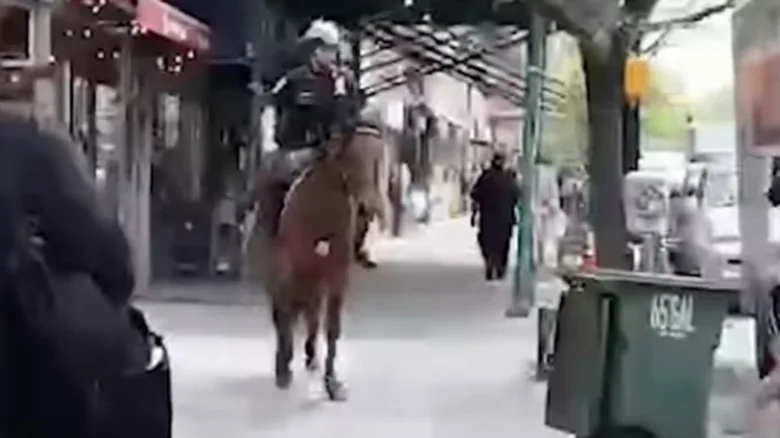 Horseback Cop Chases Down Suspect in Manhattan - image 3