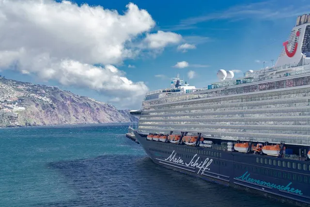 Cruise Ships Navigate Hormuz Strait Amid Security Concerns