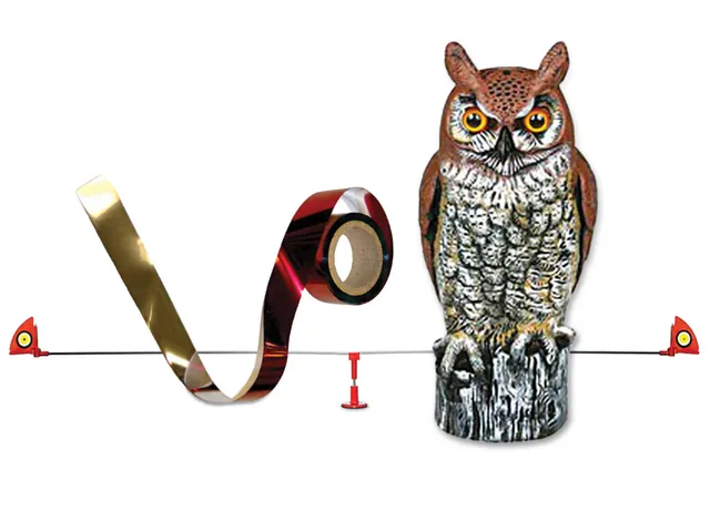 Keeping Birds Off Your Boat