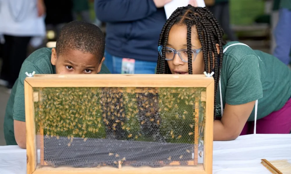 Toyota Champions Youth Leadership and Environmental Initiatives with Jane Goodall's Roots & Shoots Program