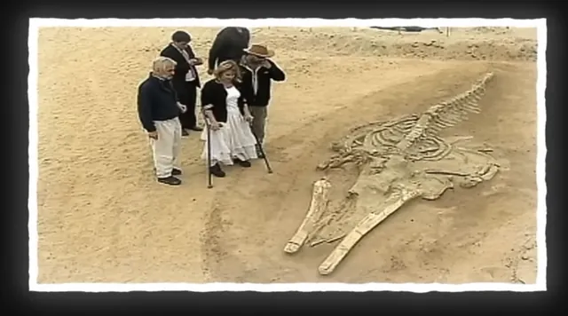 Ancient Whale Fossils Reveal Link to Andes Volcanic Eruptions