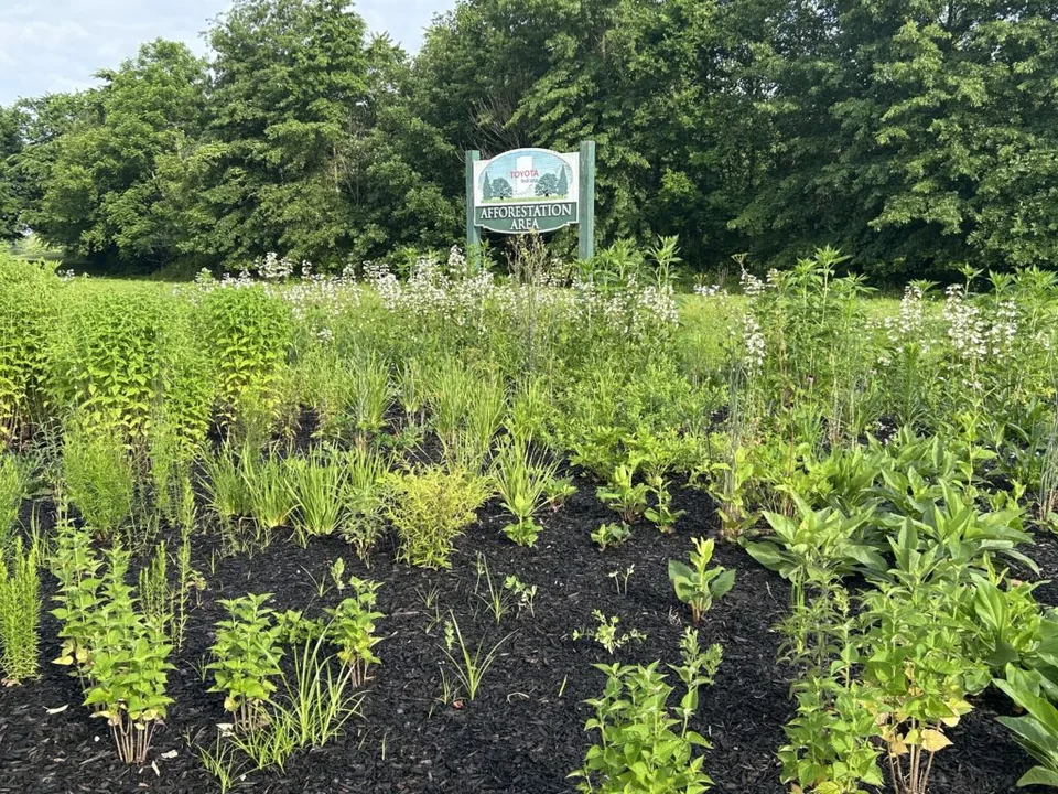 Toyota's Commitment to Sustainable Manufacturing Practices - image 3