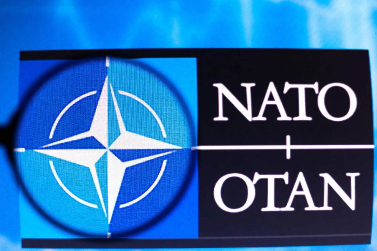 NATO Allies Grow Nervous as US Signals Shift