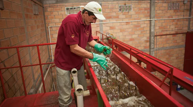 Scope 3 Emissions: A Corporate Focus on Reducing Greenhouse Gas Footprint