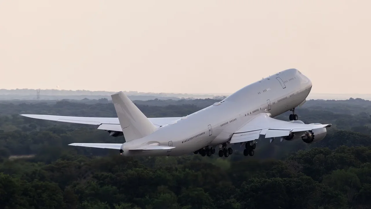 Air Force One's Secret Saviour