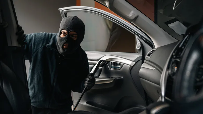 Immobilizers Prove Effective Against Car Theft - image 2