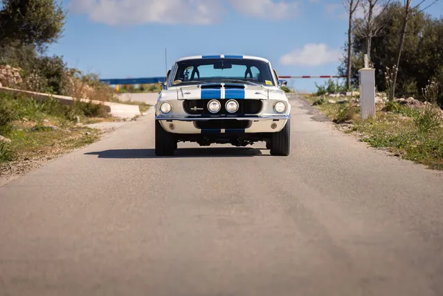 Legendary Shelby Mustang GT500 Hits the Auction Block