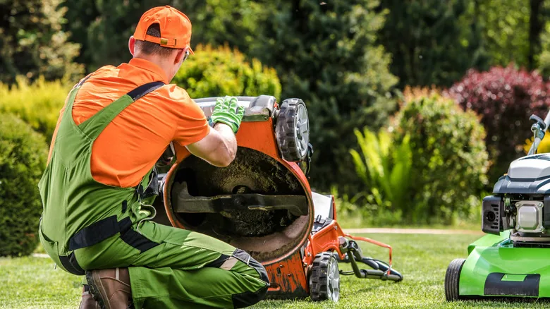 Lawn Mower Engine Lifespan: What You Need to Know - image 2