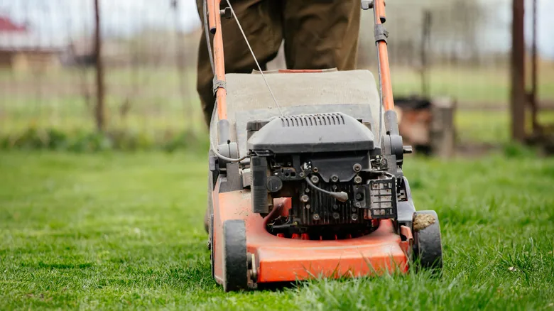 Lawn Mower Engine Lifespan: What You Need to Know - image 3
