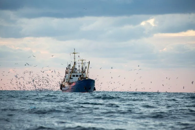 EU Intervention Needed to Stop Turkey's 'Unlawful Fishing' in Aegean Sea