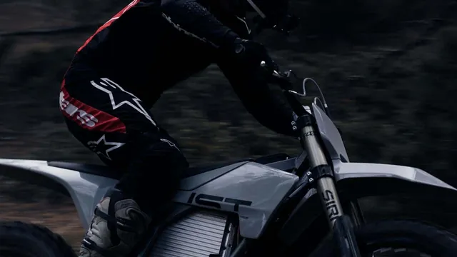 Harley-Davidson's Electric Dreams Take a Wild Ride