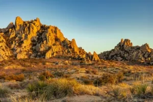 Free Camping Favorites - image 2