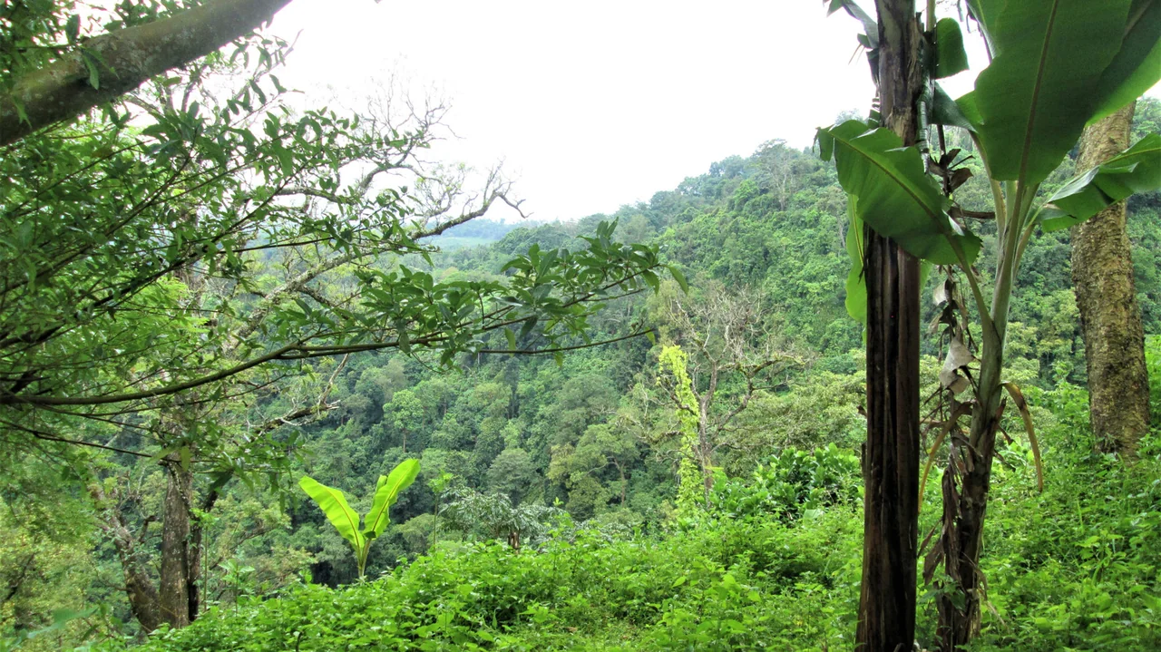 Darien Gap Road Trip Challenge