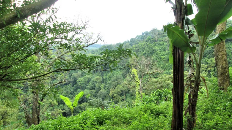 Darien Gap Road Trip Challenge - image 2
