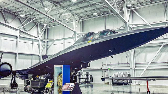 The Forgotten Blackbird