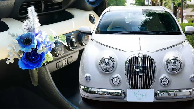 Mitsuoka Viewt Story Gets 2026 Refresh
