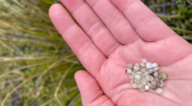 Illinois Takes Lead in Plastic Pellet Pollution Fight