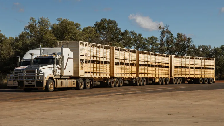 Australian Road Trains Outsize American Semi Trucks - image 3