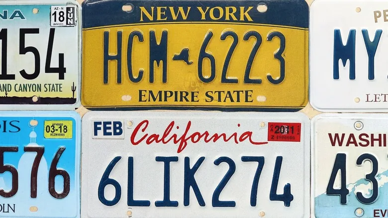 The Evolution of License Plates: From Wild West to Standardized Regime - image 4