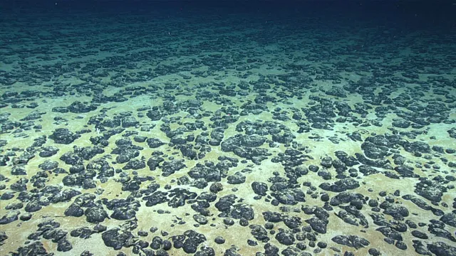 NOAA Clears Way for Pacific Seabed Mining