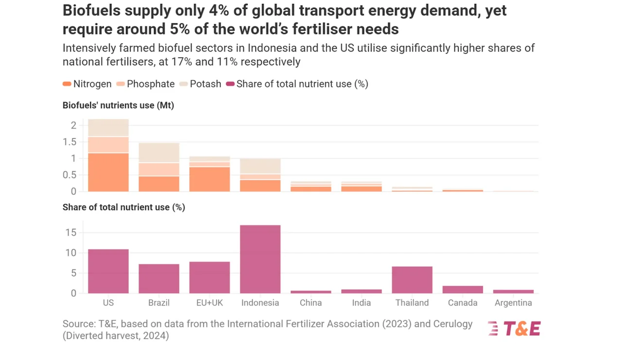 Biofuel Demand Set to Exacerbate Food Prices