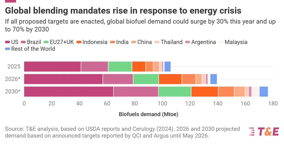 Biofuel Demand Set to Exacerbate Food Prices - image 2