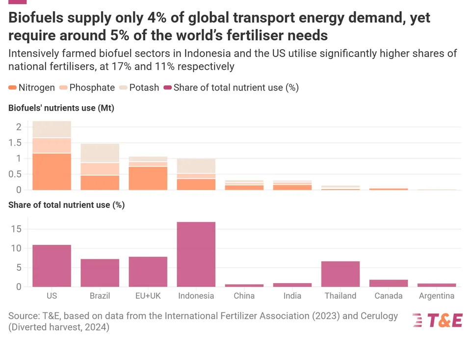 Biofuel Demand Set to Exacerbate Food Prices - image 3